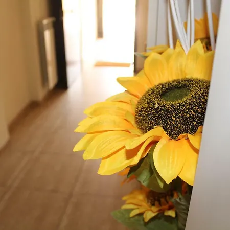 Lägenhet L'occhio Sul Vesuvio Con Terrazza Privata E Casa Senza Terrazza Privata